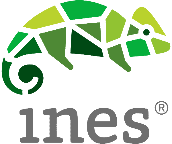 Signet Ines Informatique & Conseil
